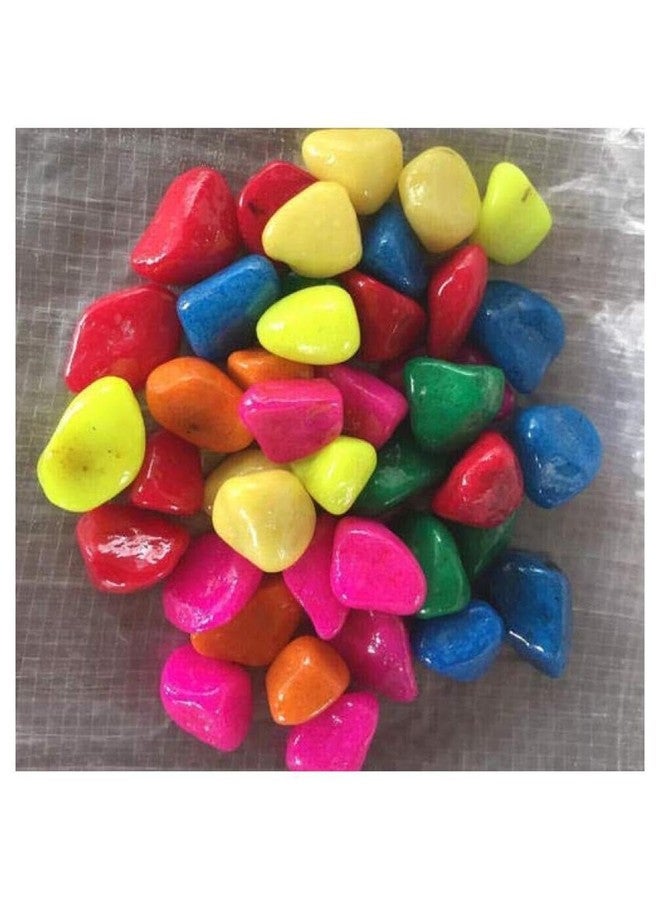 Afast Multicolor Pabbles/Stone for Garden, Plants, Aquarium & Home Decor Wt. 950g - Image 1